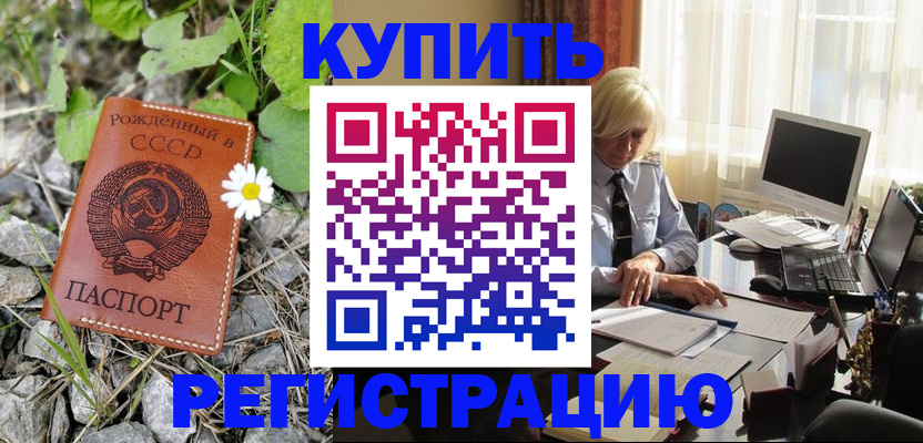 временная регистрация поиск в Новозыбкове